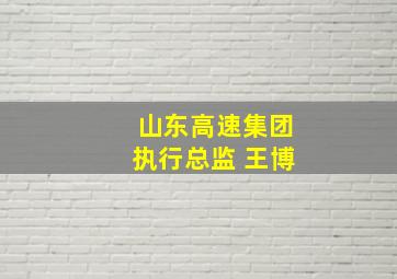 山东高速集团执行总监 王博